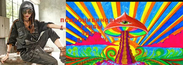 тгк Наволоки