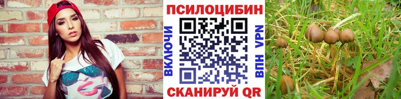 Галлюциногенные грибы мицелий  цена наркотик  Славск 